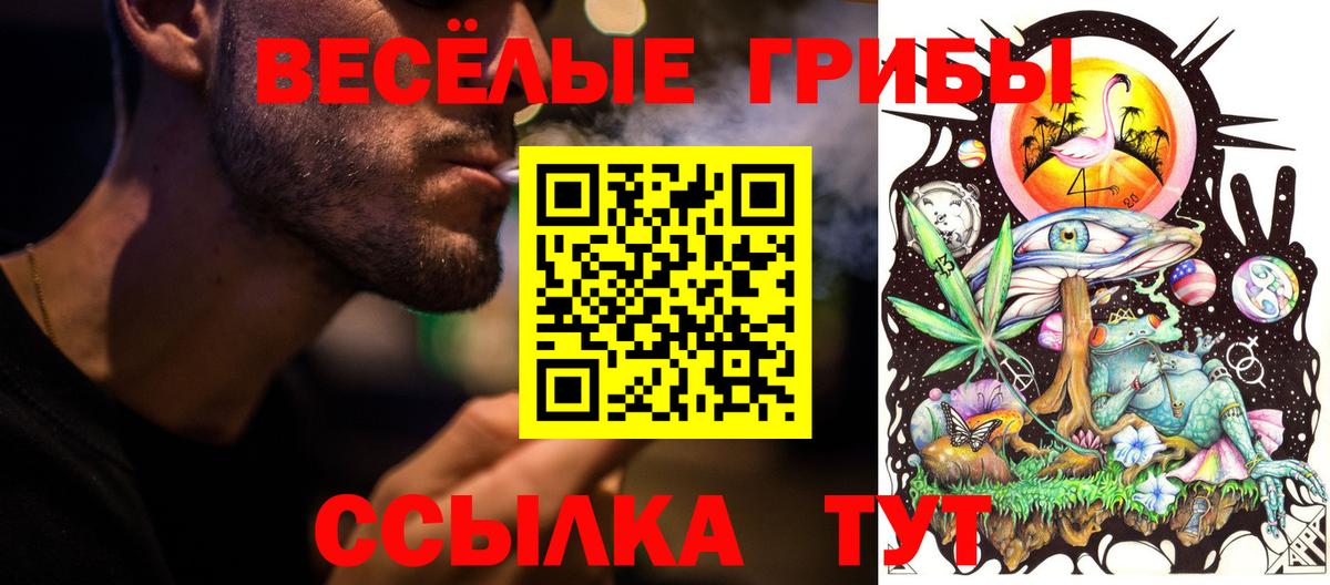 Псилоцибиновые грибы мицелий  Вход с VPN  Звенигород 